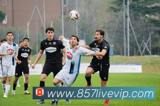 857直播平台生态图